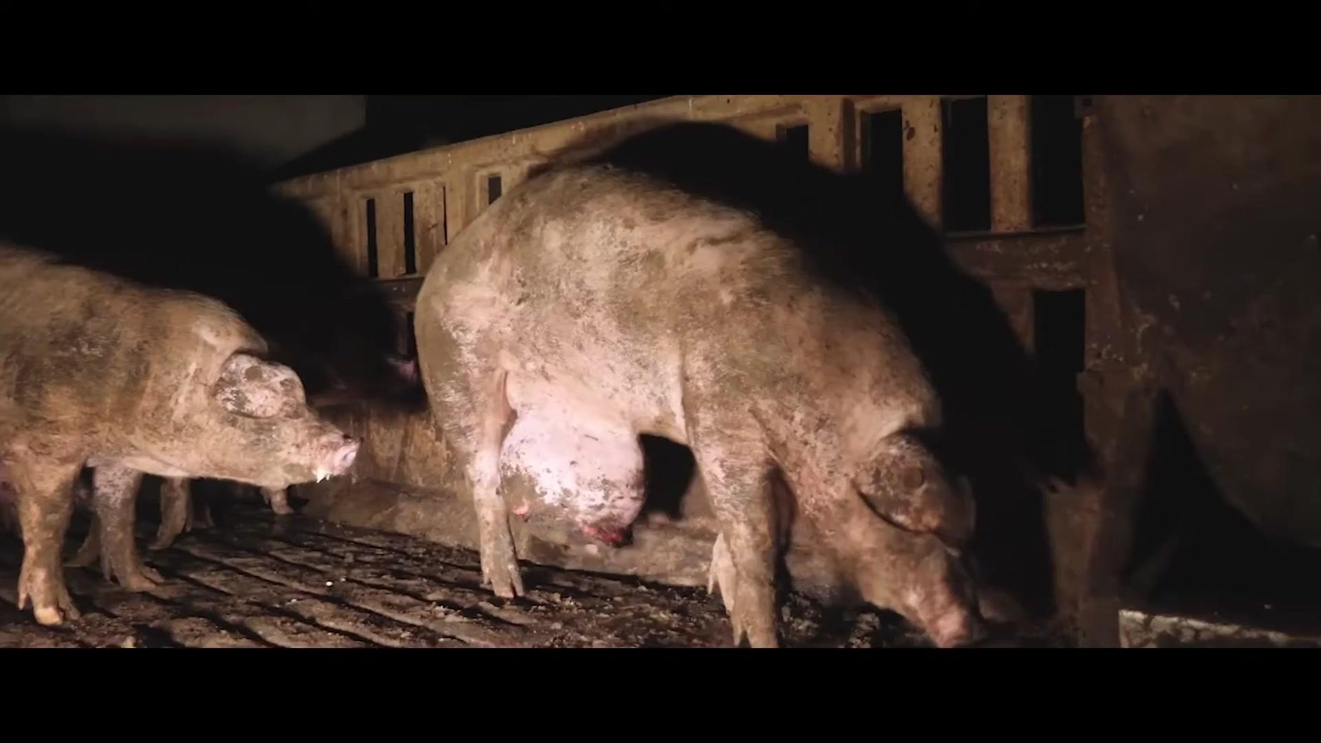 Food for Profit - Trailer - Englisch - HD