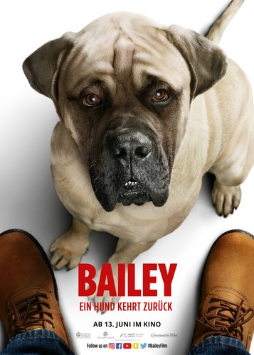 Bailey 2 - Ein Hund kehrt zurück - Poster 3