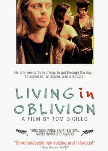 Living in Oblivion - Poster 2