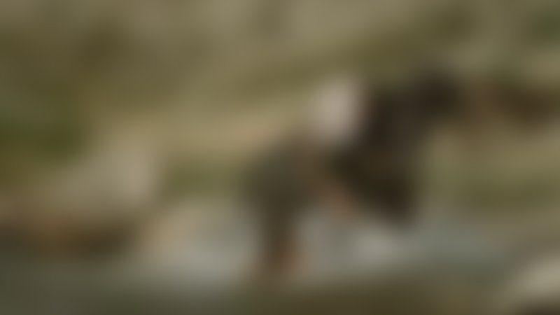 Scalps - Trailer - Englisch - SD