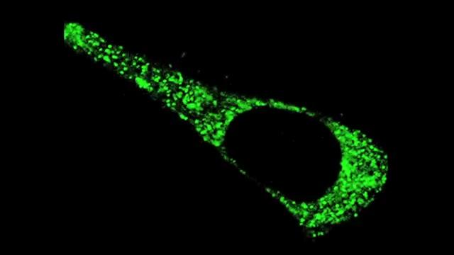 Nanotechnologie - Die unsichtbare Revolution - Trailer - Deutsch - SD