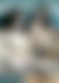 S*s H*g