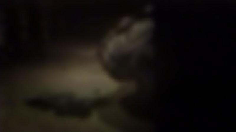 Cradle of Fear - Trailer - Deutsch - HD