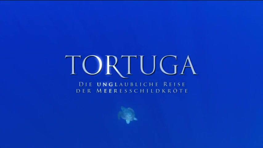 Tortuga - Trailer - Deutsch