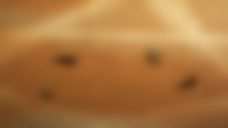 Knucklebones - Trailer - Deutsch - SD