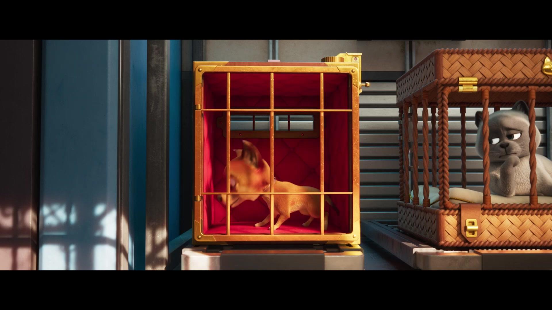 Vivo - Trailer - Deutsch - HD