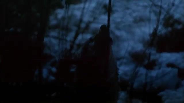 IMAX - Wolves - Trailer - Deutsch - SD