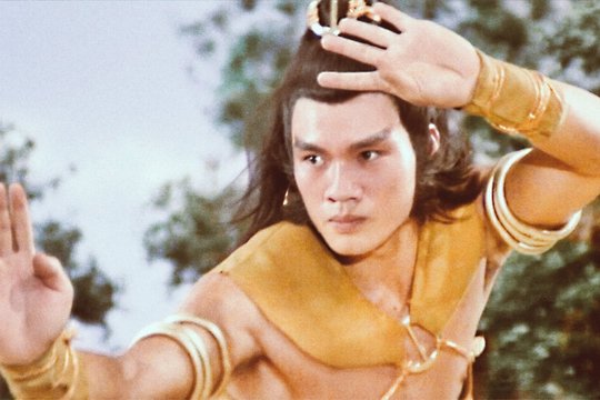 Die 5 Kampfmaschinen der Shaolin - Szenenbild 5
