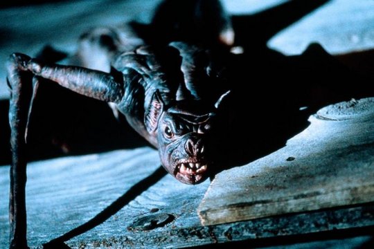 Bats - Fliegende Teufel - Szenenbild 2