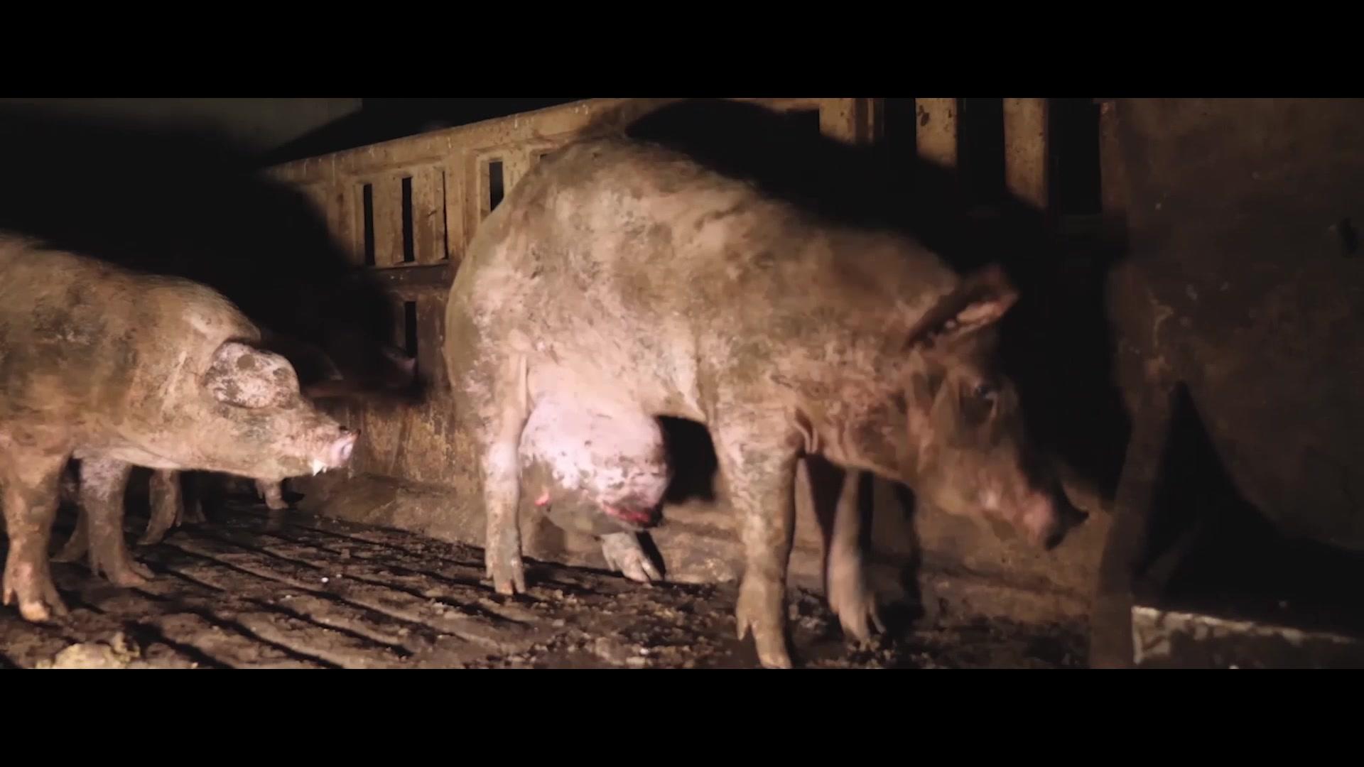Nicht ohne uns! - Trailer - Deutsch - HD