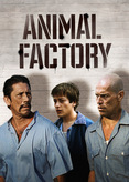 Animal Factory - Rache eines Verurteilten