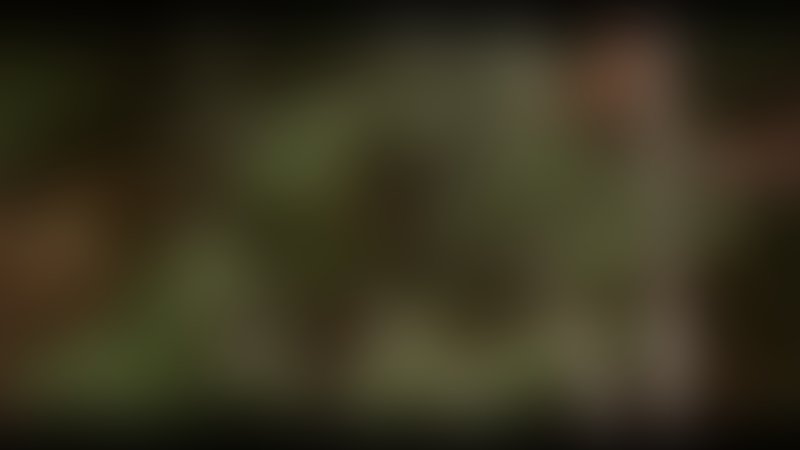 Lost Paradise - Trailer - Englisch - SD