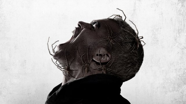 Spiders - Ihr Biss ist der Tod - Wallpaper 1