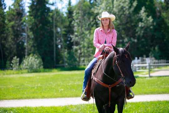 Heartland - Paradies für Pferde - Staffel 8 - Szenenbild 3
