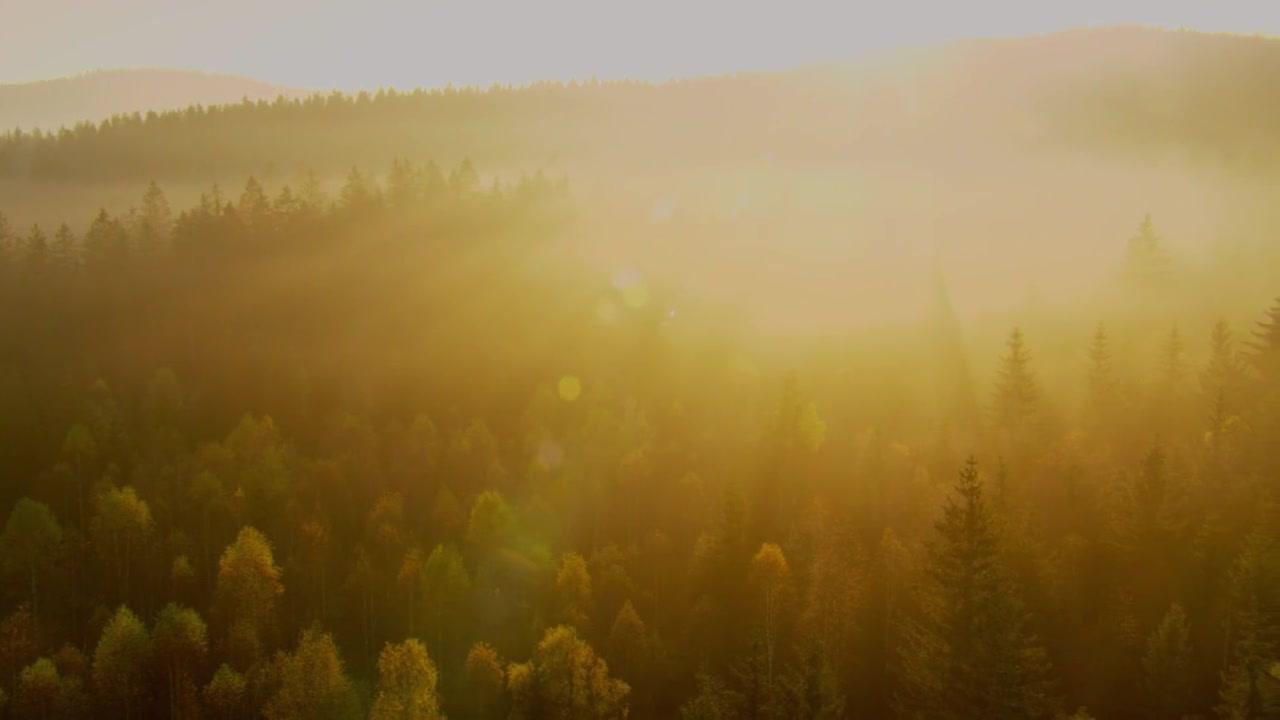 Hadwin's Judgement - Trailer - Deutsch - HD