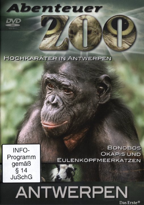 Abenteuer Zoo - Apeldoorn (DVD)