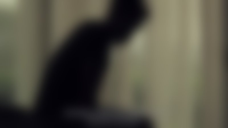 Horseplay - Trailer - Englisch - SD