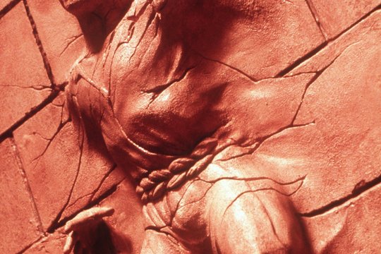 Wishmaster - Szenenbild 20