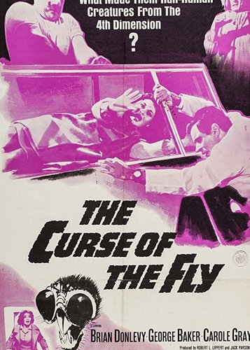 Der Fluch der Fliege - Poster 1
