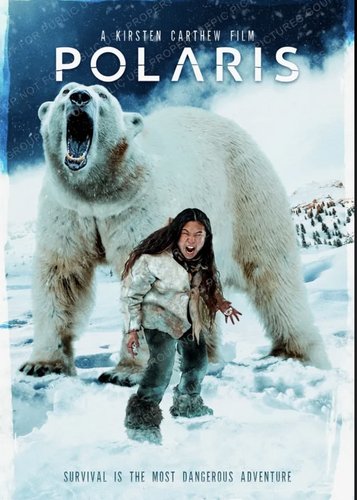 Polaris - Poster 3