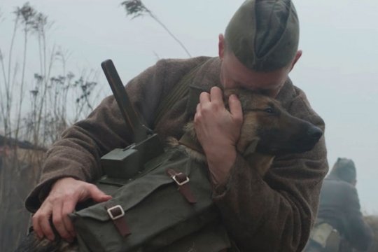 The War Dog - Szenenbild 5