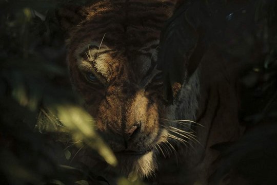 Das Dschungelbuch - Mogli - Szenenbild 2