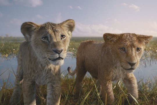 Mufasa - Der König der Löwen - Szenenbild 4