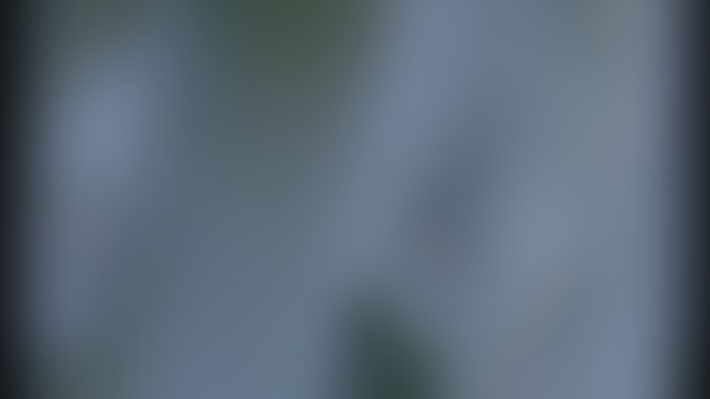 La Bête - Die Bestie - Teaser - Deutsch - SD