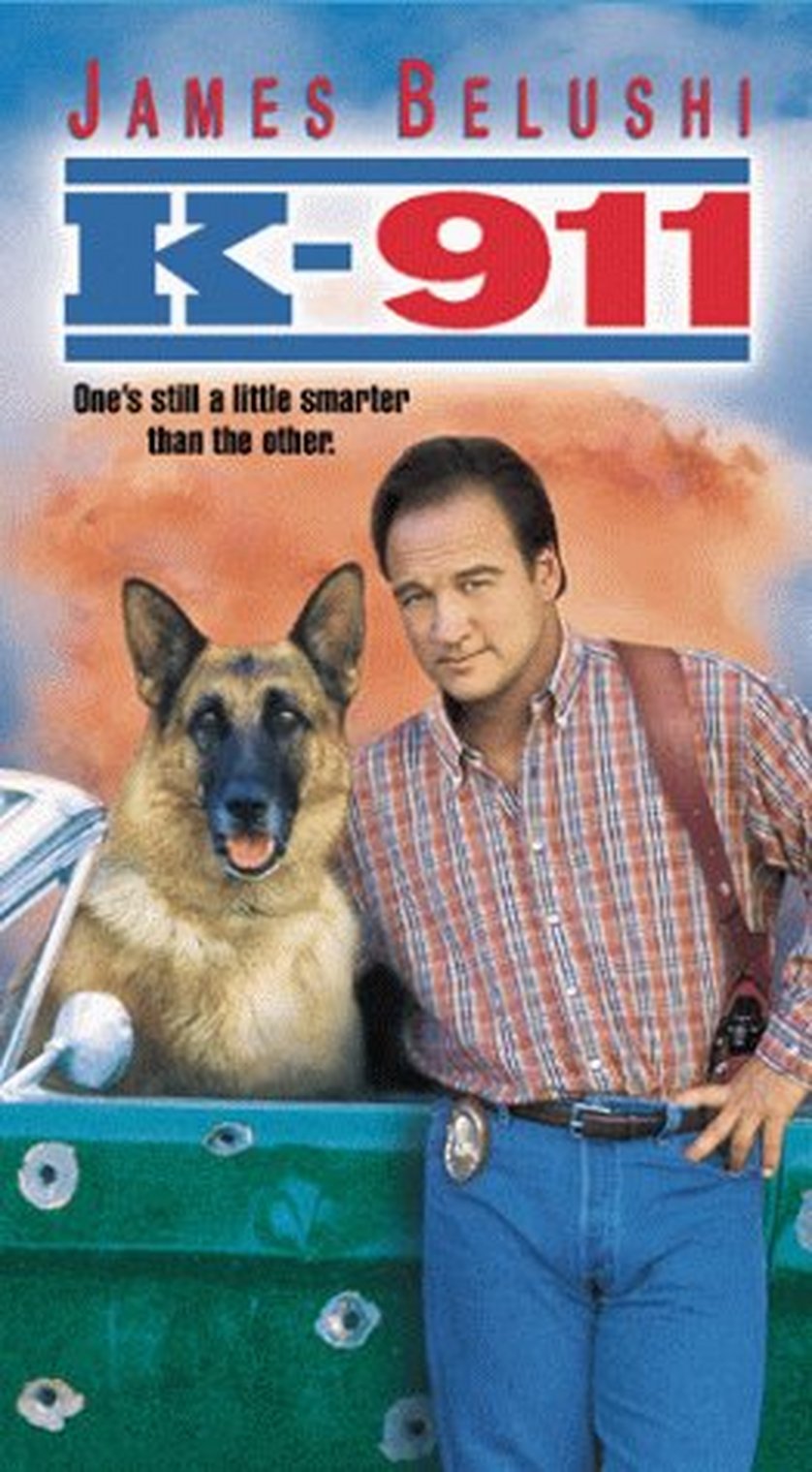 Mein Partner Mit Der Kalten Schnauze 2 Ganzer Film Deutsch Mein Partner mit der kalten Schnauze 2: DVD oder Blu-ray leihen
