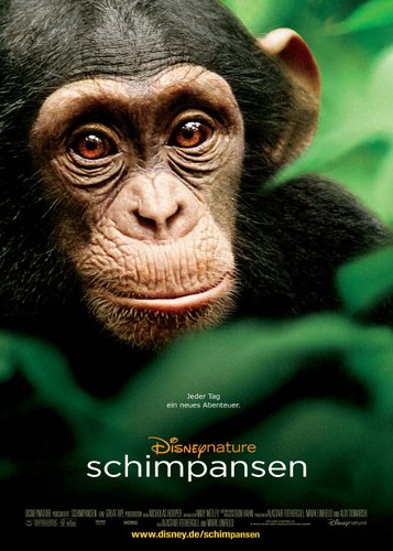 Schimpansen - Poster 1