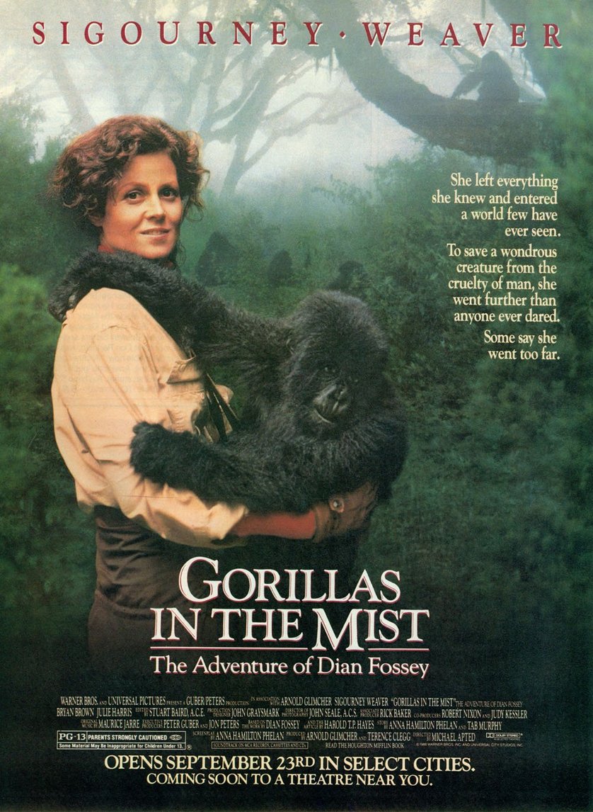 Gorillas Im Nebel Film