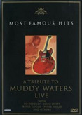 A Tribute To Muddy Waters Live