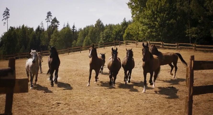 Orangentage - Trailer - Deutsch - SD