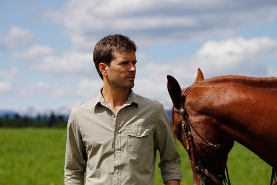 Heartland - Paradies für Pferde - Staffel 8 - Szenenbild 1