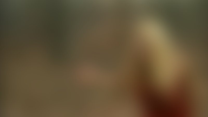 Frankenstein - Das Experiment - Trailer - Englisch - SD