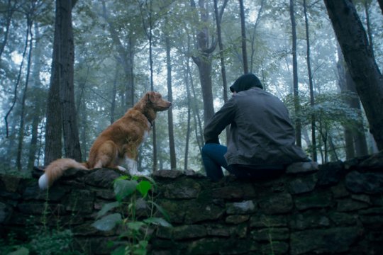 Good Boy - Szenenbild 3