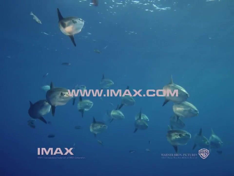 Unsere Ozeane - Trailer - Englisch - HD