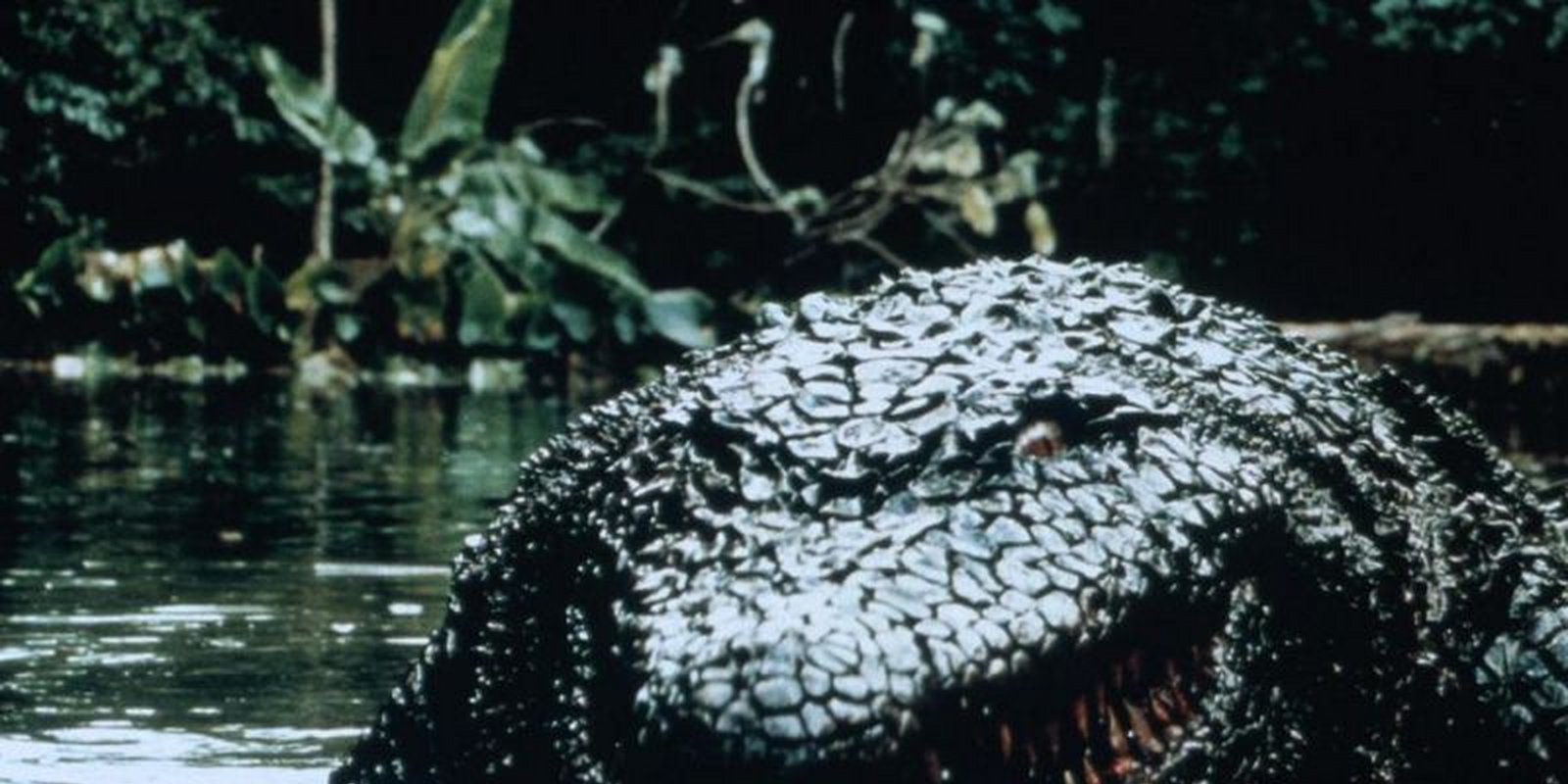 Killer Crocodile 2 - Die Mörderbestie