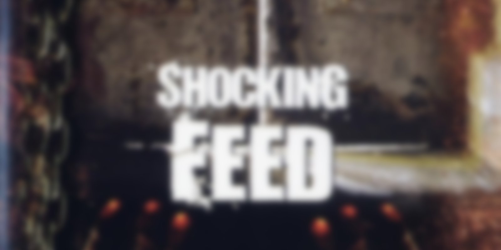 Live Feed - Shocking Feed