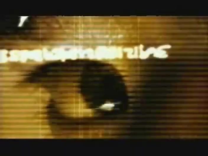 Im Netz der Spinne - Teaser - Deutsch - SD