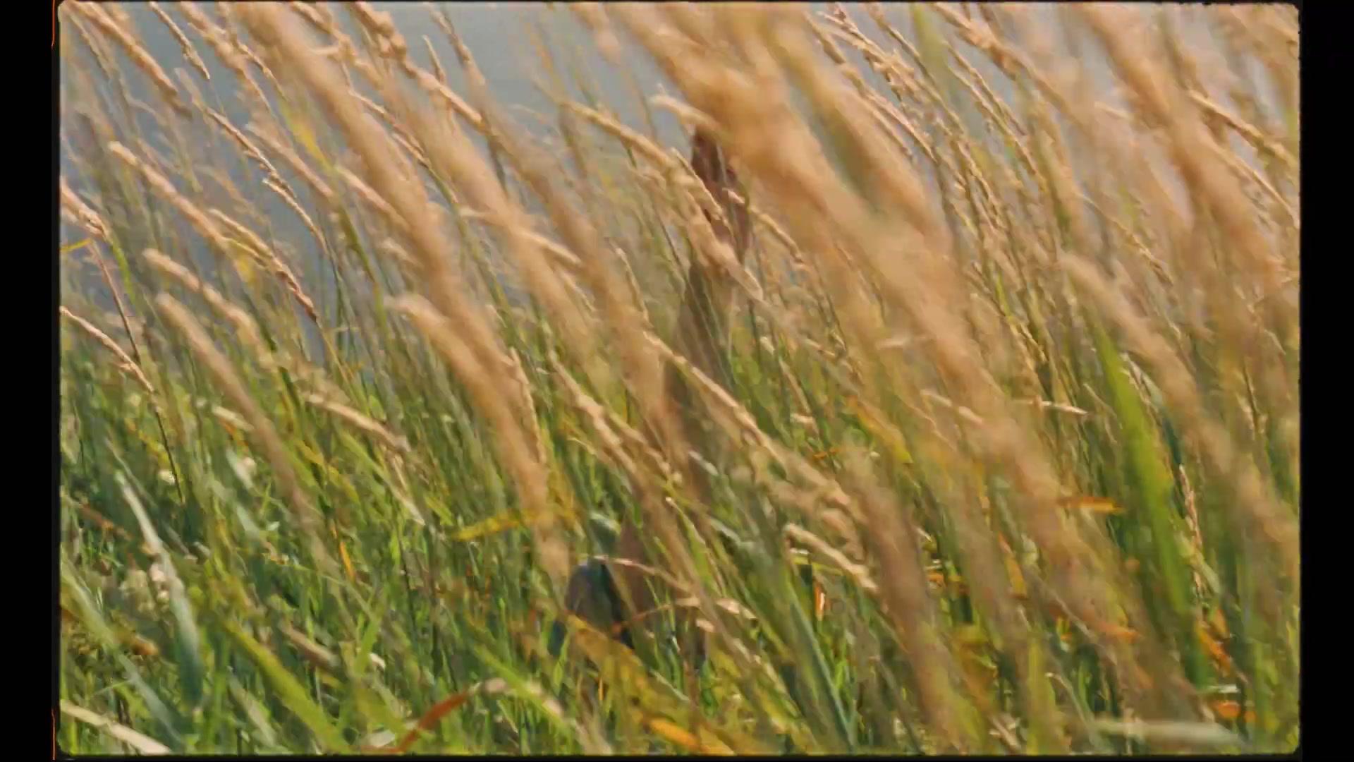 Harvest - Trailer - Deutsch - HD