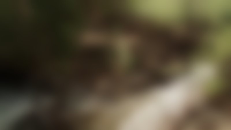 Blood Lake - Trailer - Deutsch - SD