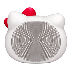 Sonic Facial Brush | 4 in 1