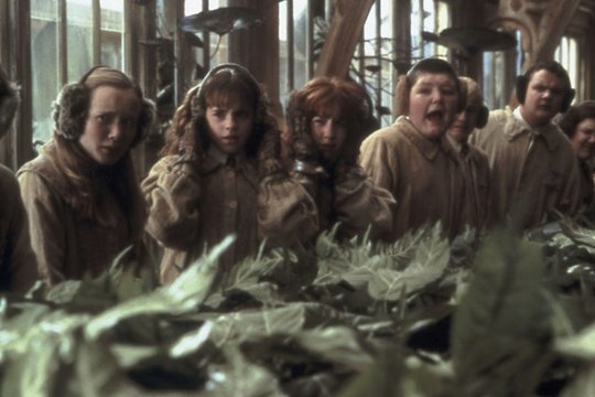 Harry Potter und die Kammer des Schreckens - Szenenbild 35