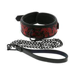 Collar &amp; Leash