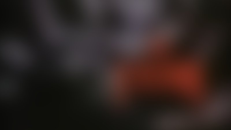The Pumpkin Karver - Trailer - Deutsch - SD