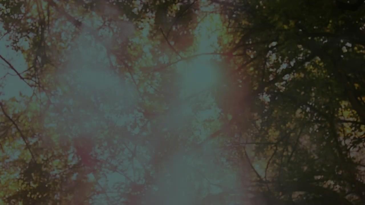 Alraune - Trailer - Deutsch - HD