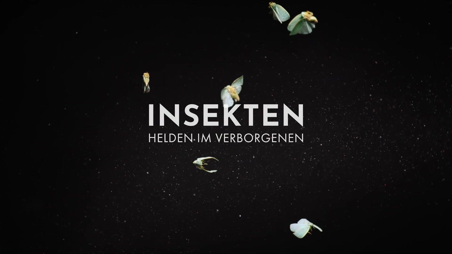 Insekten - Helden im Verborgenen - Teaser - Deutsch - HD