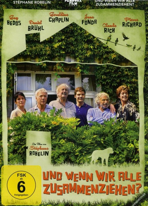 Und wenn wir alle zusammenziehen? (DVD), gebraucht