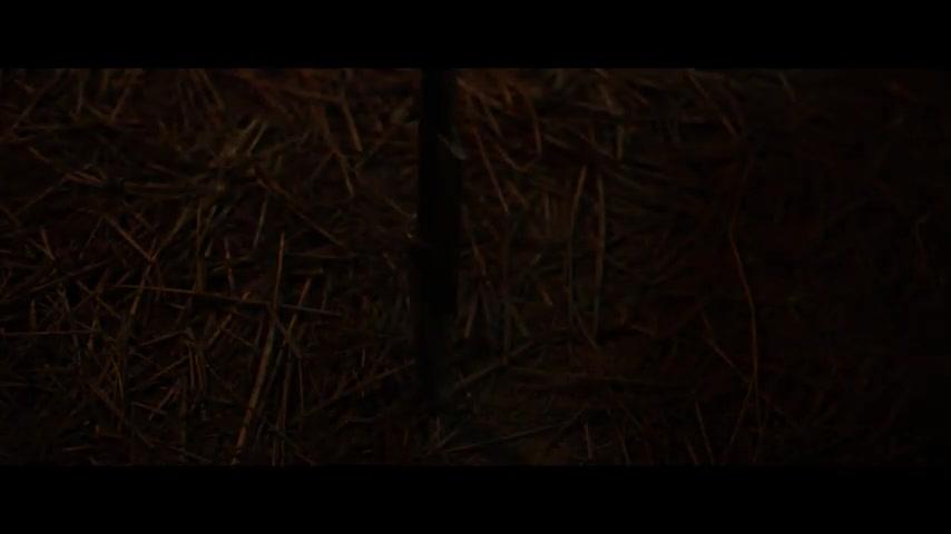 The Swordsman - Trailer - Deutsch - SD